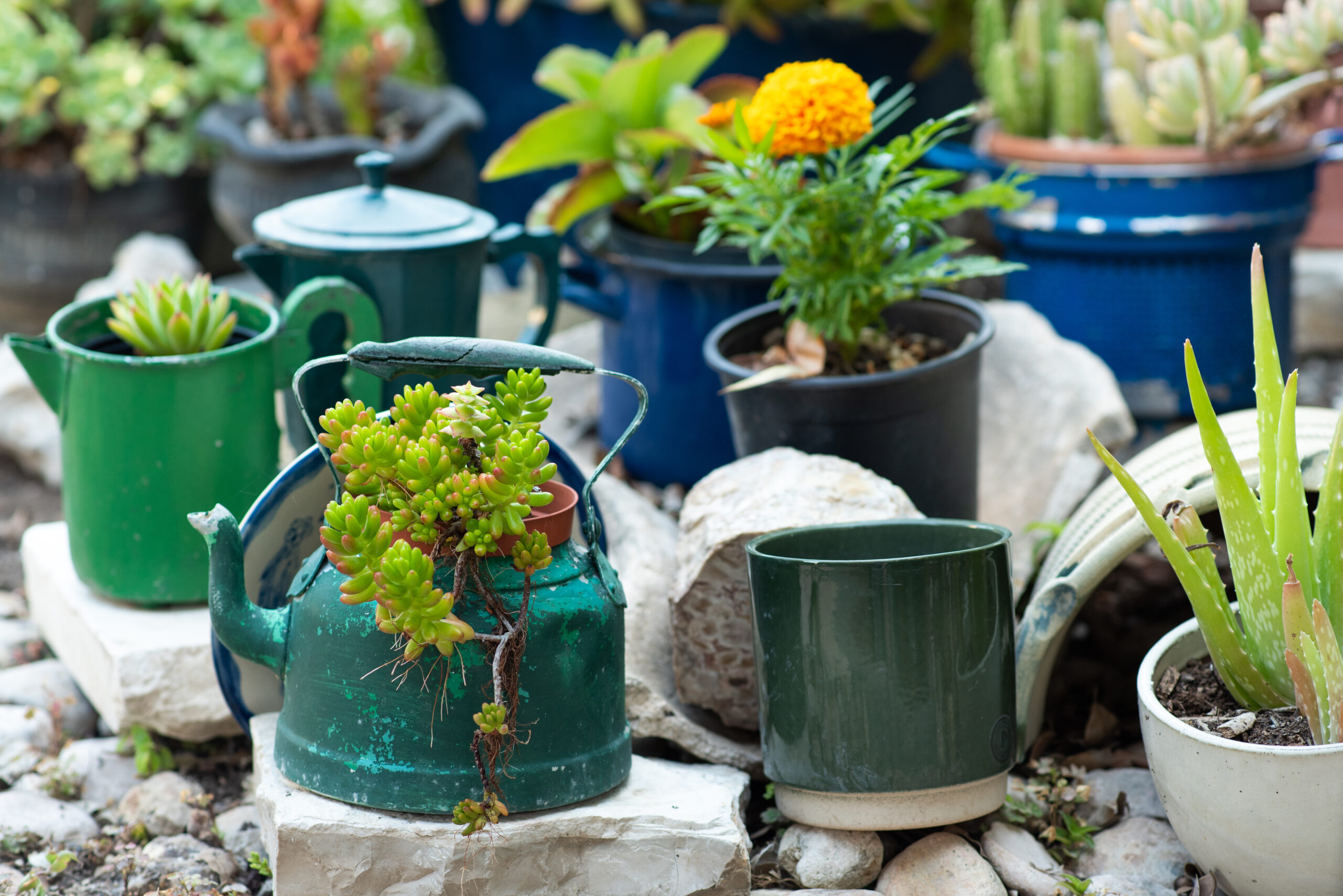 Recycled Planters