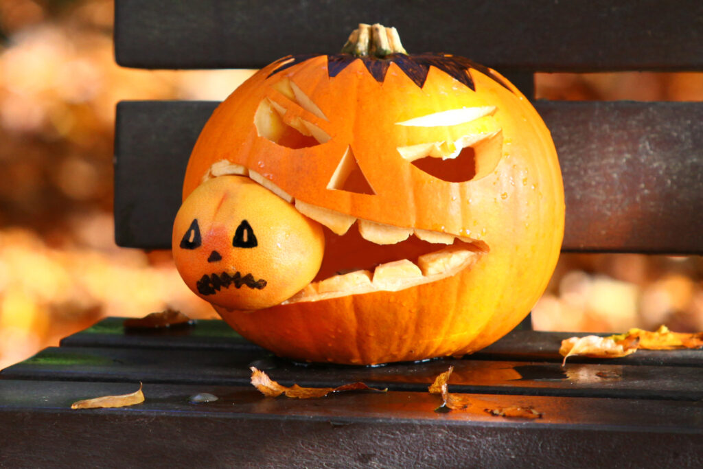 Halloween Jack-o-lantern sat on park bench eating orange