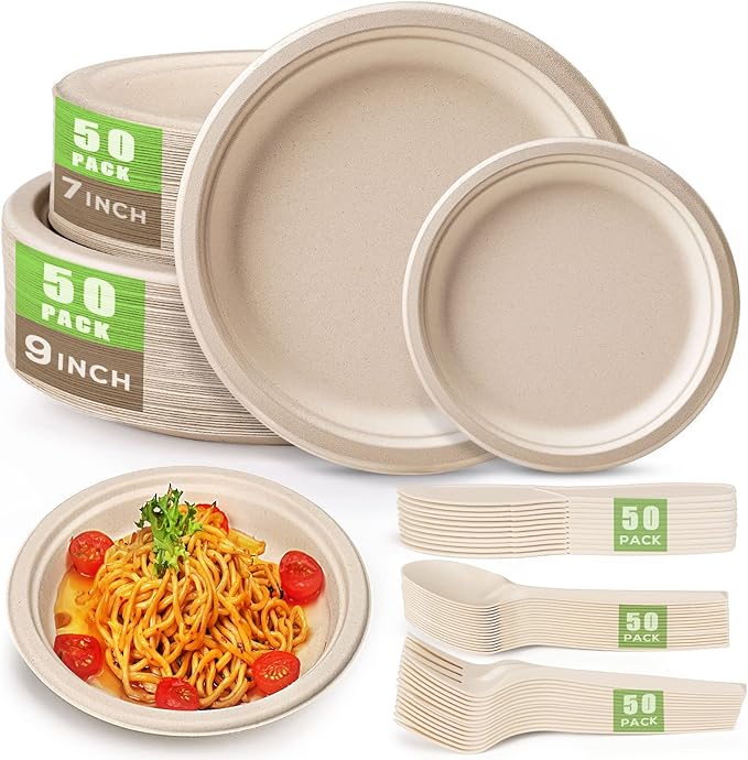 Disposable Paper Plates Set