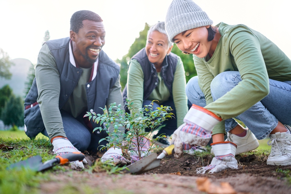 Gardening, community service and people volunteering in park, garden and nature for sustainability. Climate change, happy team and tree plants in sand for earth day project, growth and green ecology