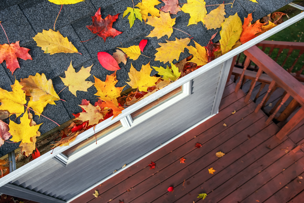 Home Maintenance Tips For Fall