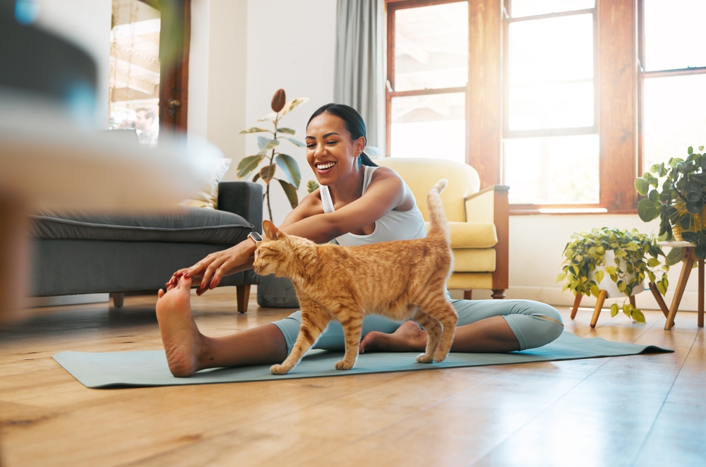 Cat, fitness or happy woman in yoga stretching legs for body flexibility, wellness or healthy lifestyle. Kitten, pet animal or zen girl in exercise, workout or training warm up in house exercising
